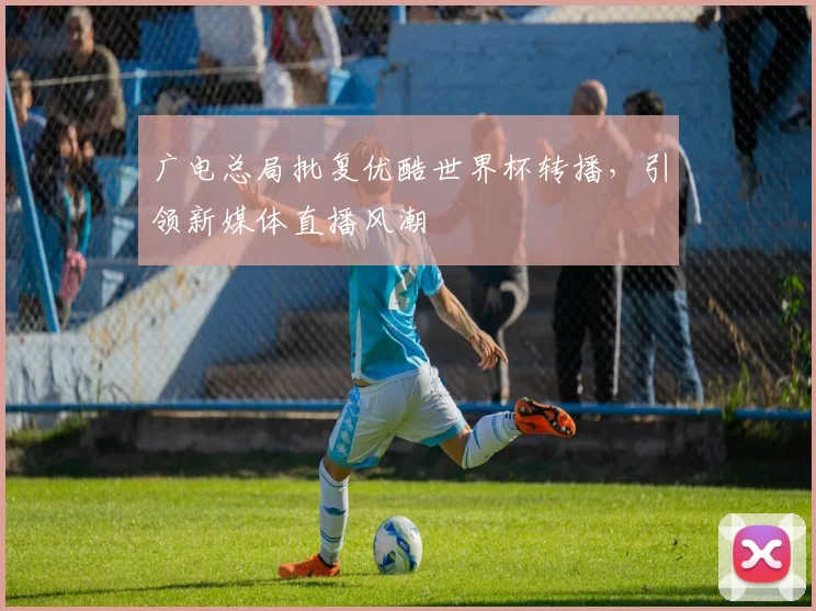 广电总局批复优酷世界杯转播，引领新媒体直播风潮